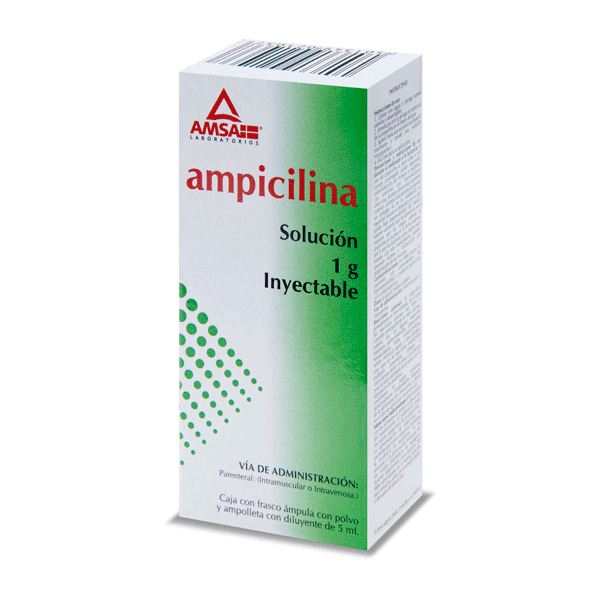 AMPICILINA 1 GR SOLUCION INYECTABLE 1 PIEZA